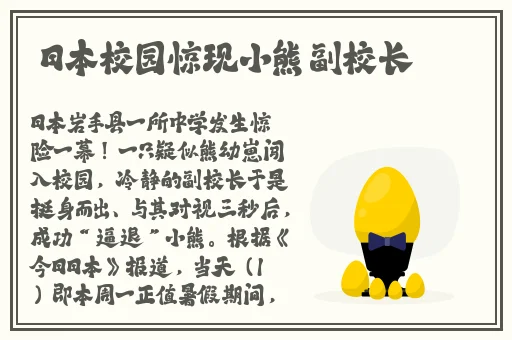 国产精品18久久久久久vr